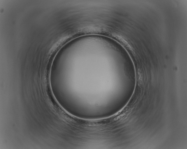 X0000073710487200608171142