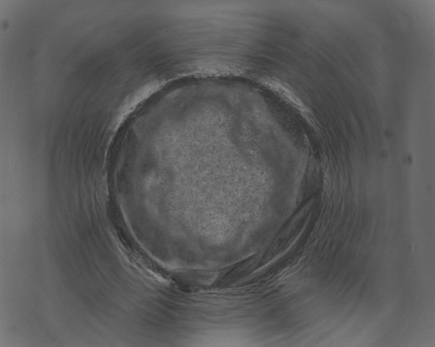 X0000073710488200608171142