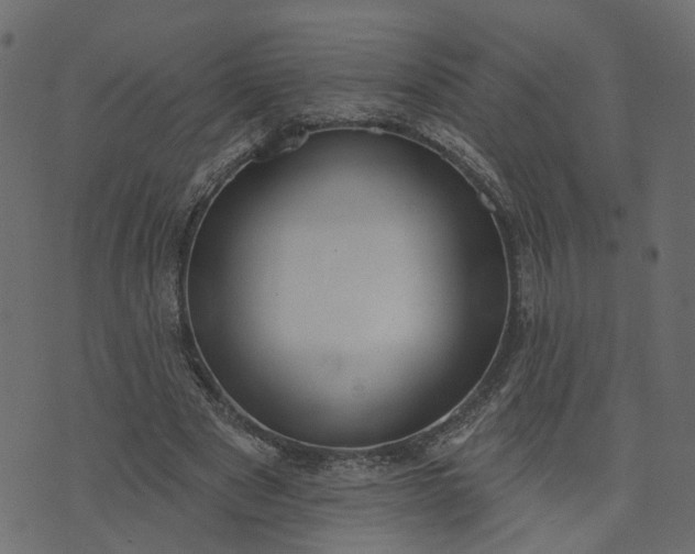 X0000073710489200608171142