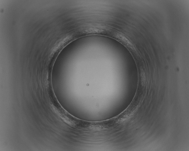 X0000073710490200608171142