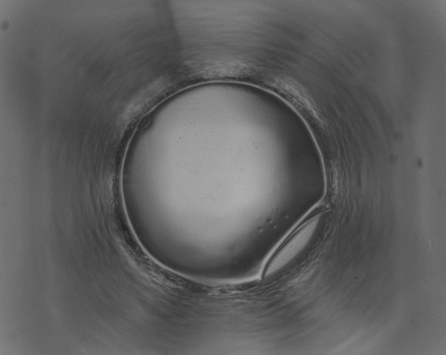 X0000073710491200608171142