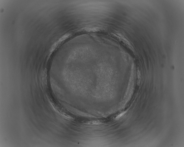 X0000073710492200608171142