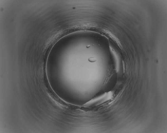 X0000073710493200608171142