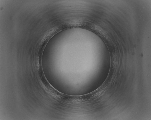 X0000073710494200608171142