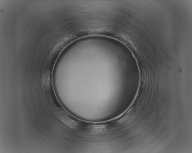 X0000073710495200608171142