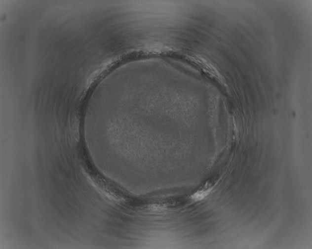 X0000073710496200608171142