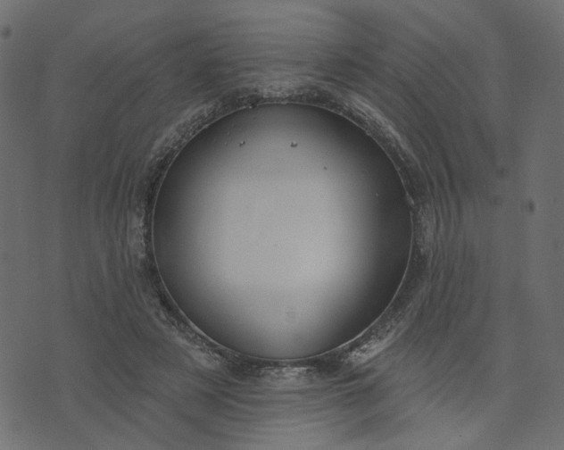 X0000073710497200608171142