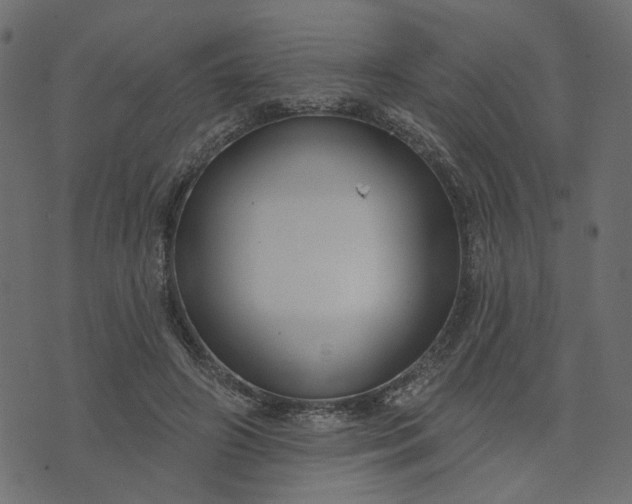 X0000073710498200608171142