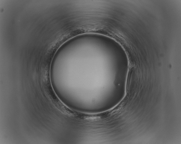 X0000073710499200608171142