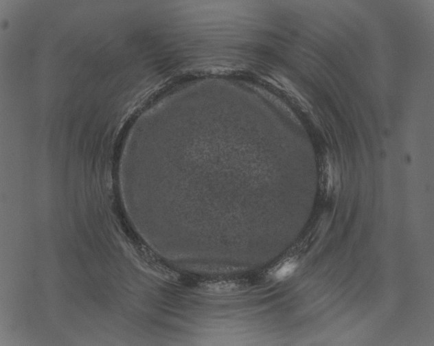 X0000073710500200608171142