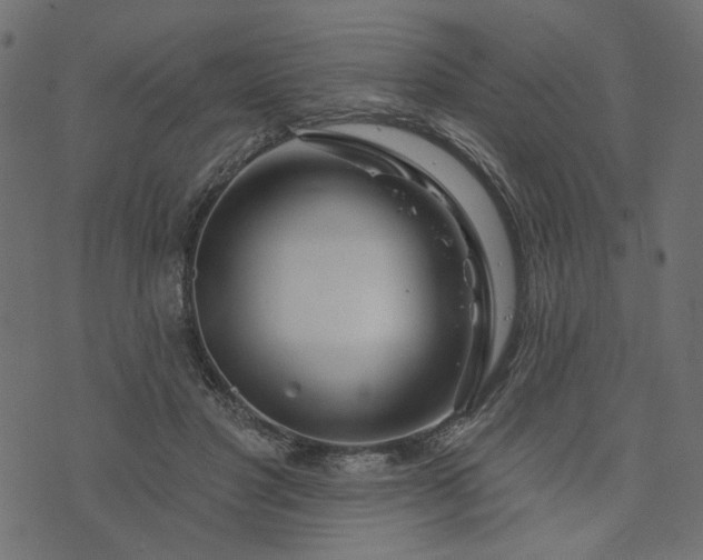 X0000073710501200608171142