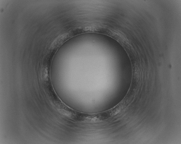 X0000073710502200608171142