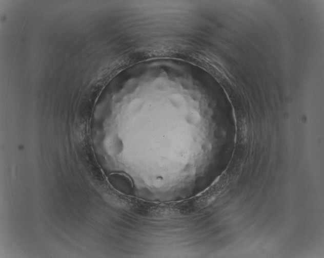 X0000073710503200608171142