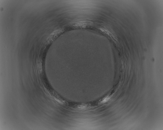 X0000073710504200608171141