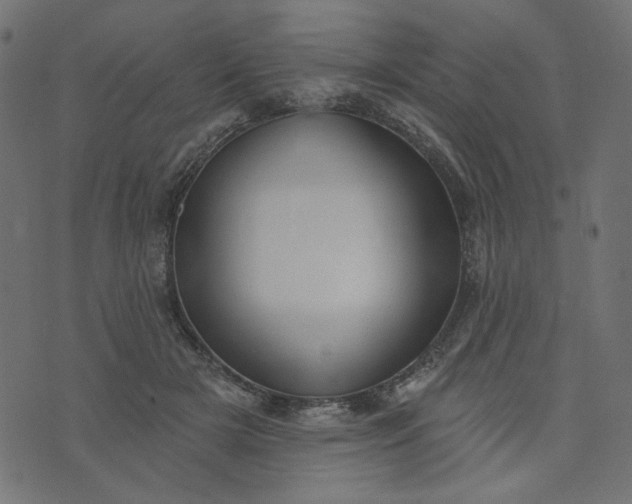 X0000073710505200608171141