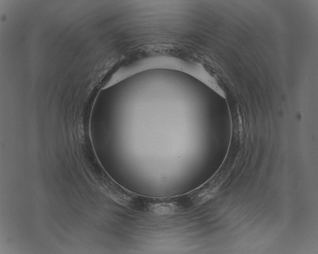 X0000073710508200608171141