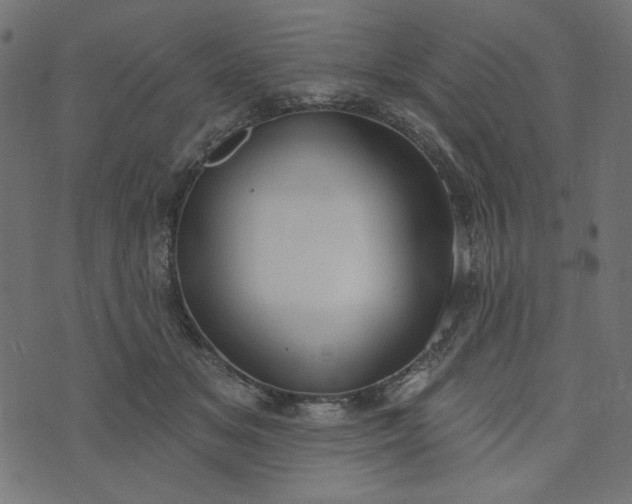 X0000073710509200608171141