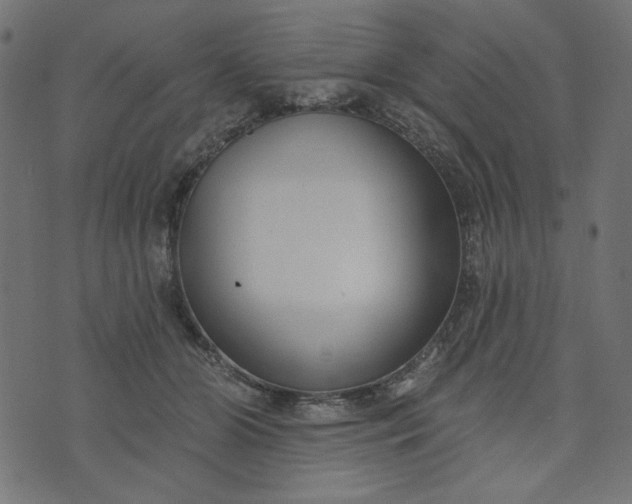 X0000073710510200608171141