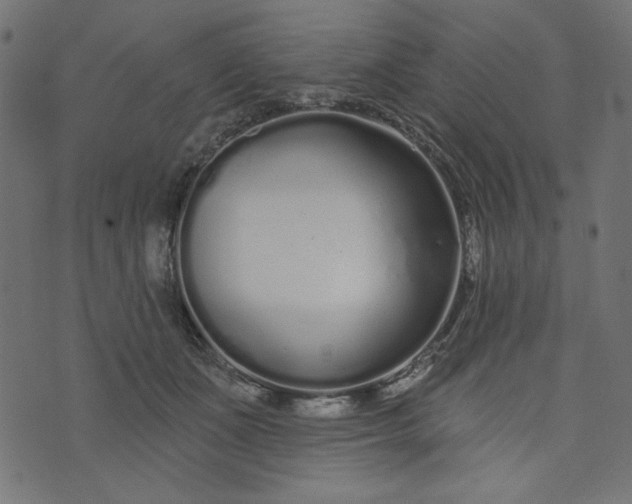 X0000073710511200608171141