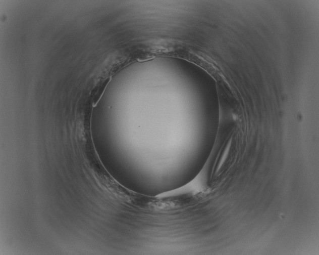 X0000073710512200608171141