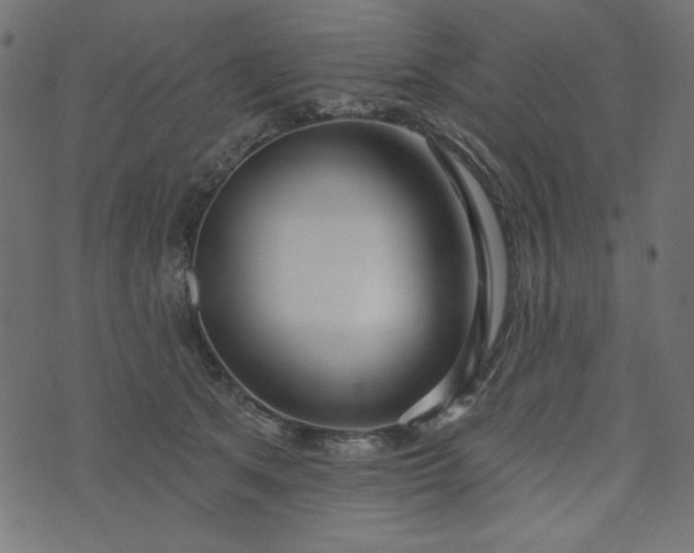 X0000073710513200608171141