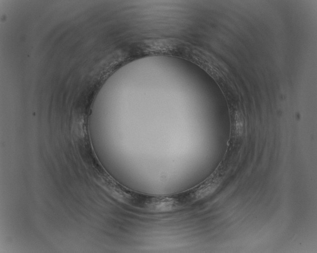 X0000073710514200608171141