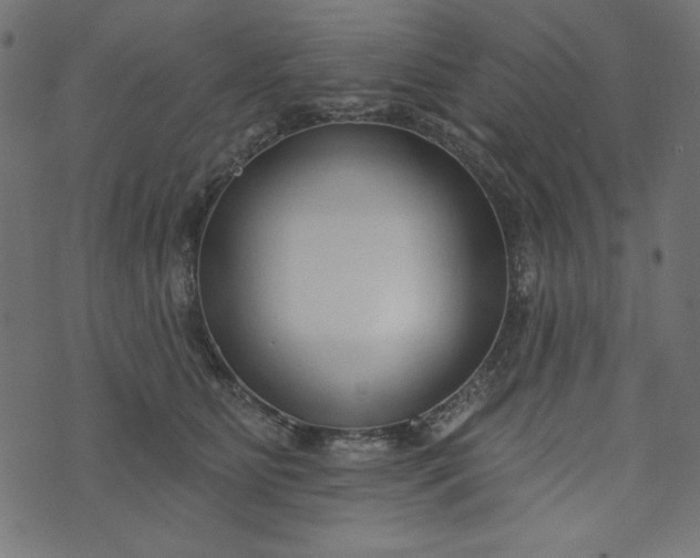 X0000073710515200608171141