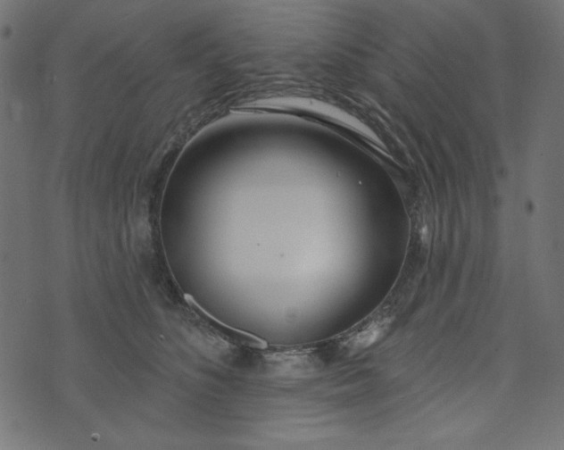 X0000073710516200608171141