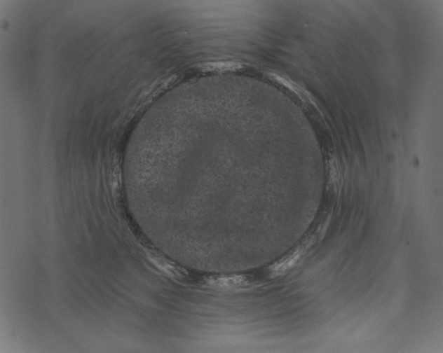 X0000073710517200608171141