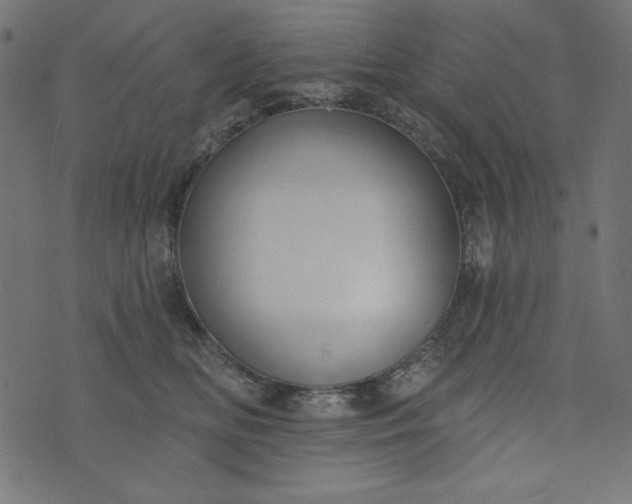 X0000073710518200608171141