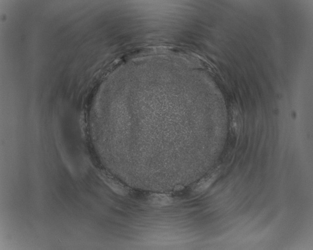 X0000073710519200608171141