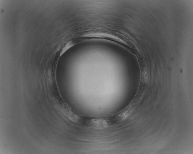 X0000073710520200608171141