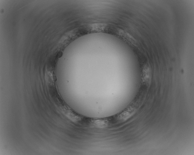 X0000073710522200608171141