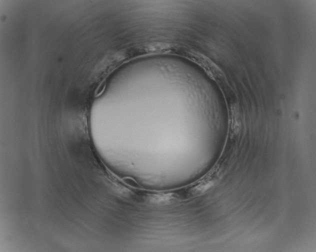 X0000073710523200608171141