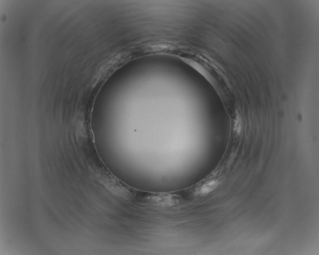 X0000073710524200608171141