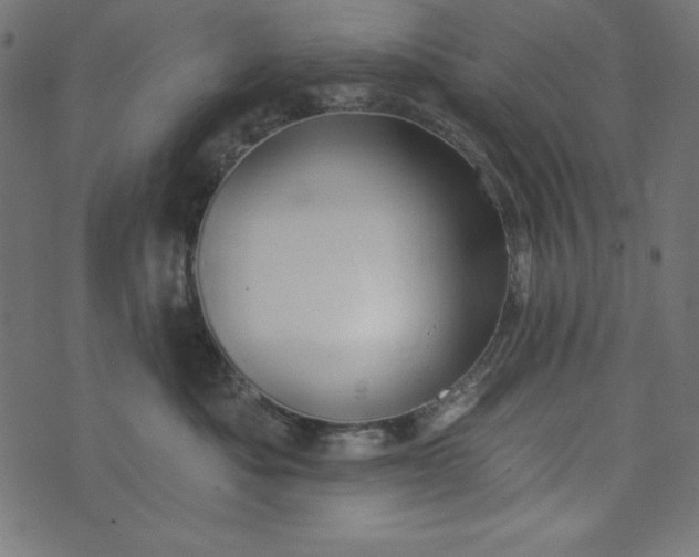 X0000073710525200608171141