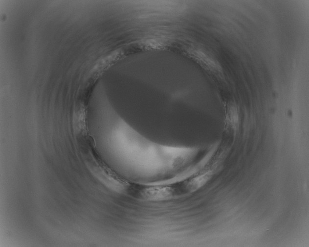 X0000073710526200608171141