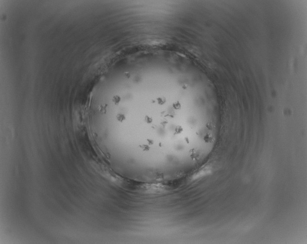 X0000073710528200608171141