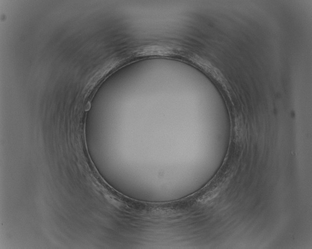 X0000073710529200608171140