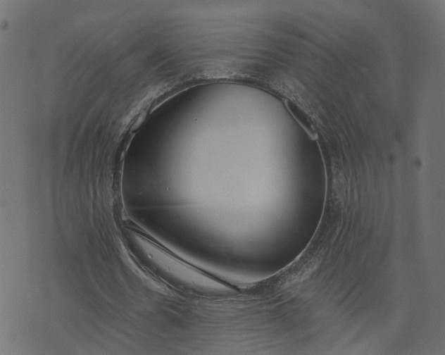 X0000073710530200608171140