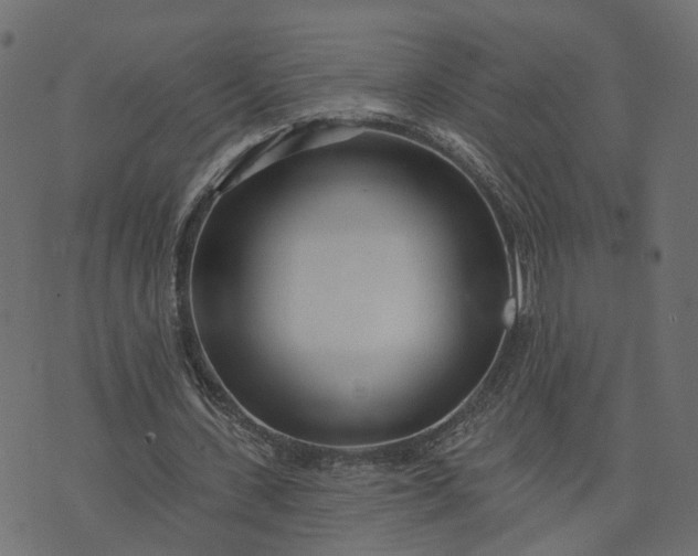 X0000073710531200608171140