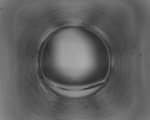 X0000073710532200608171140