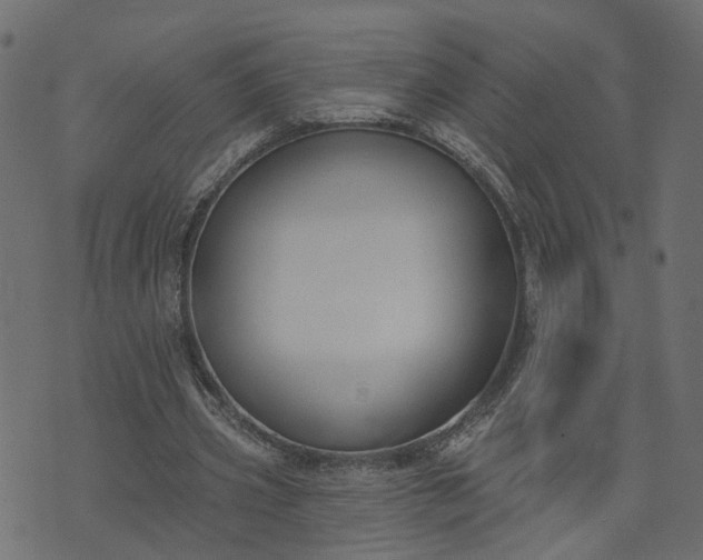 X0000073710533200608171140