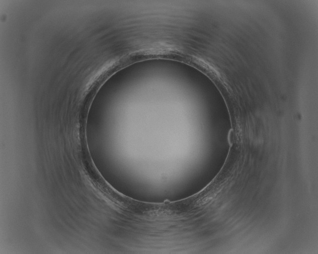 X0000073710535200608171140