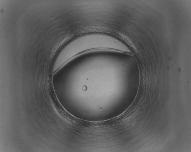 X0000073710538200608171140