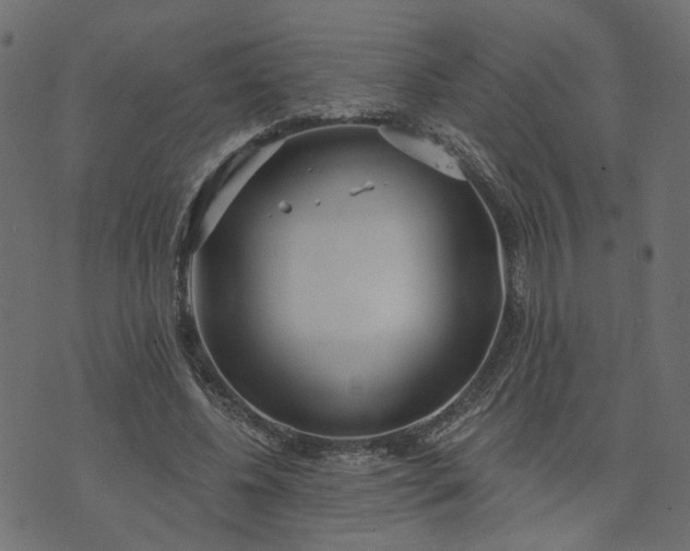 X0000073710540200608171140