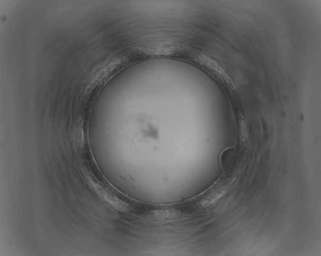 X0000073710541200608171141