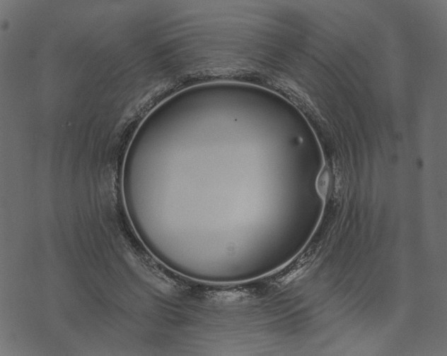 X0000073710542200608171141