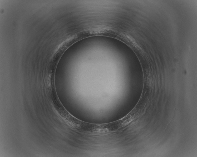 X0000073710543200608171141