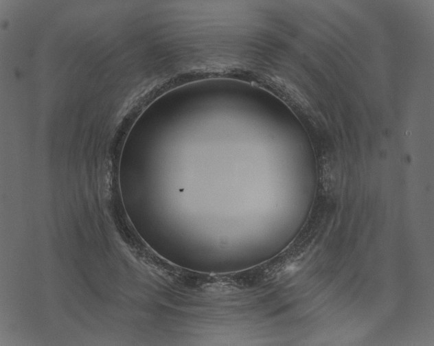 X0000073710544200608171141